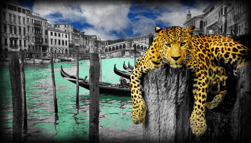 Hanging In Venice - Board Only by Lars Tunebo
